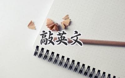 用英语敲出你的精彩：如何提升英语打字速度？