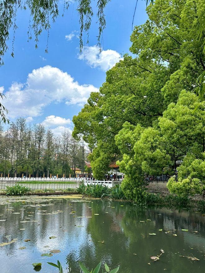 云南五日游。一次玩转四大经典目的地！高效率行程安排！