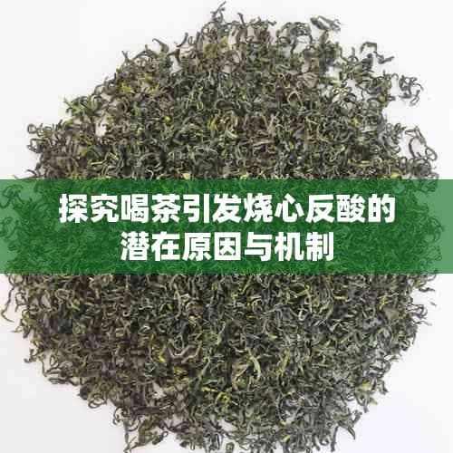 探究喝茶引发烧心反酸的潜在原因与机制