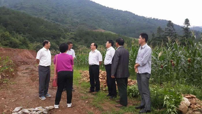 农村土地征收中,村委会扮演什么样的角色?