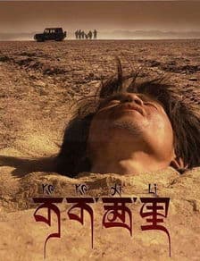 可可西里影评：自然与人文的交响曲