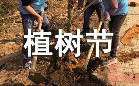 植树节的散文诗