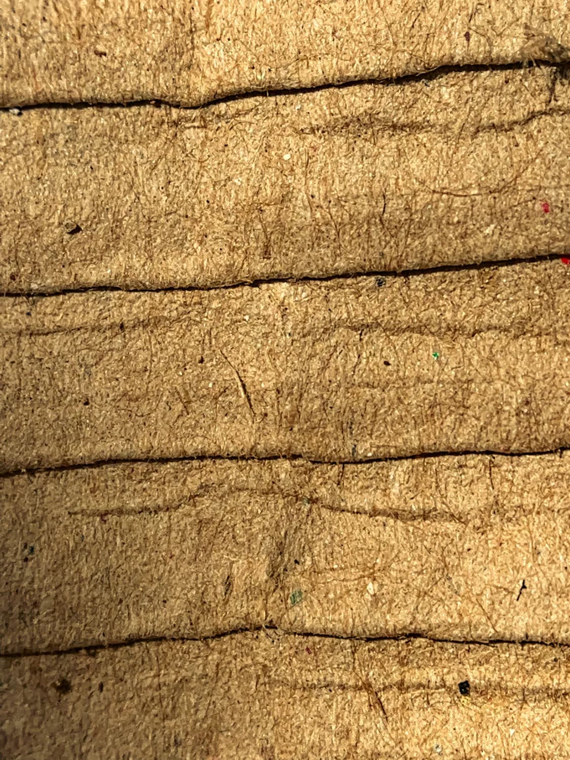 一简一繁：古埃及纸莎草纸与中国蔡伦造纸术的历史对比