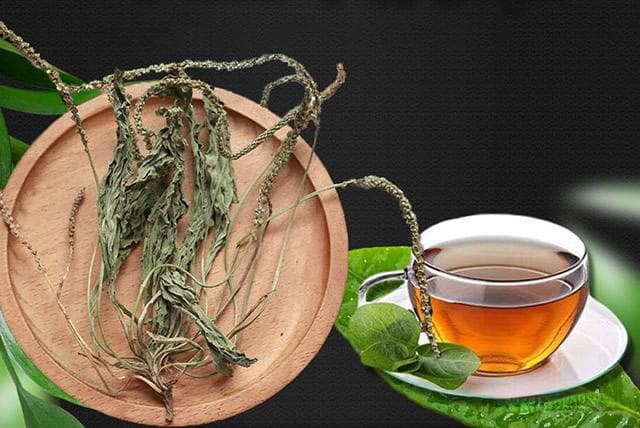 车前草的功效与作用 中药车前草怎么吃效果好