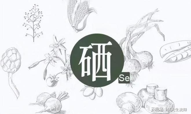 硒元素：揭秘其对抗癌症的神奇力量