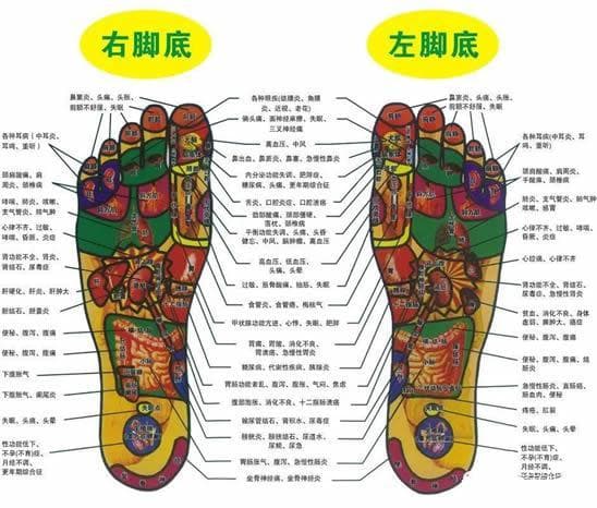脚的各个部位详细图解：从脚弓到脚底的全面解析