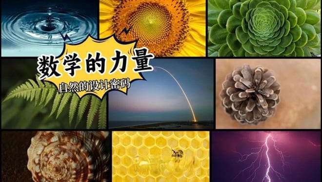 数学有多美？让人着迷的原因在这里