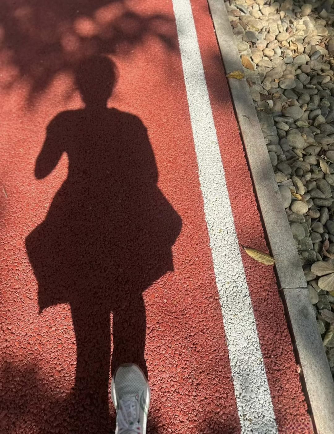 开春马拉松训练全攻略，从零开始的跑步新手秘籍