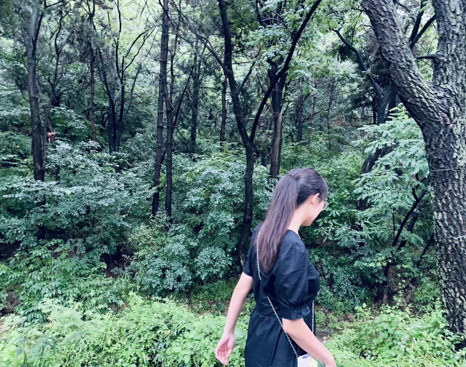 《过故人庄》：一首跨越千年的田园生活赞歌