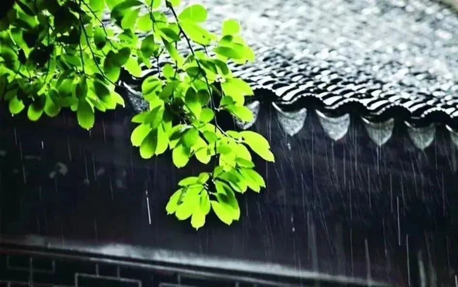 湿湿湿…… “梅雨季”常见皮肤病防治小贴士