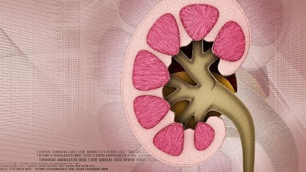 肾病病理分型及病因