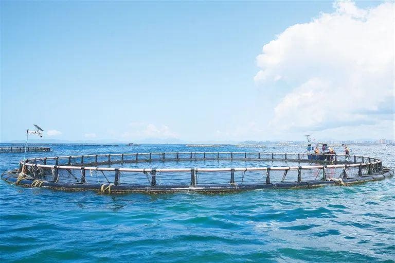 向海图强！海南以新质生产力赋能海洋经济高质量发展