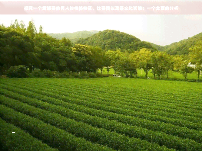 探究一个爱喝茶的男人的性格特征、饮茶惯以及茶文化影响：一个全面的分析