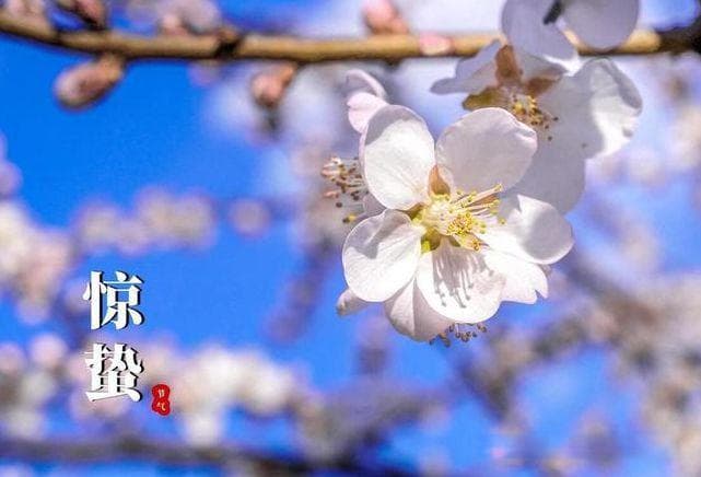 惊蛰当天打雷好不好？农谚有答案，早了解