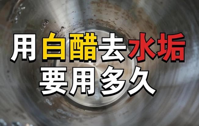 白醋去除水泥污渍的实用指南