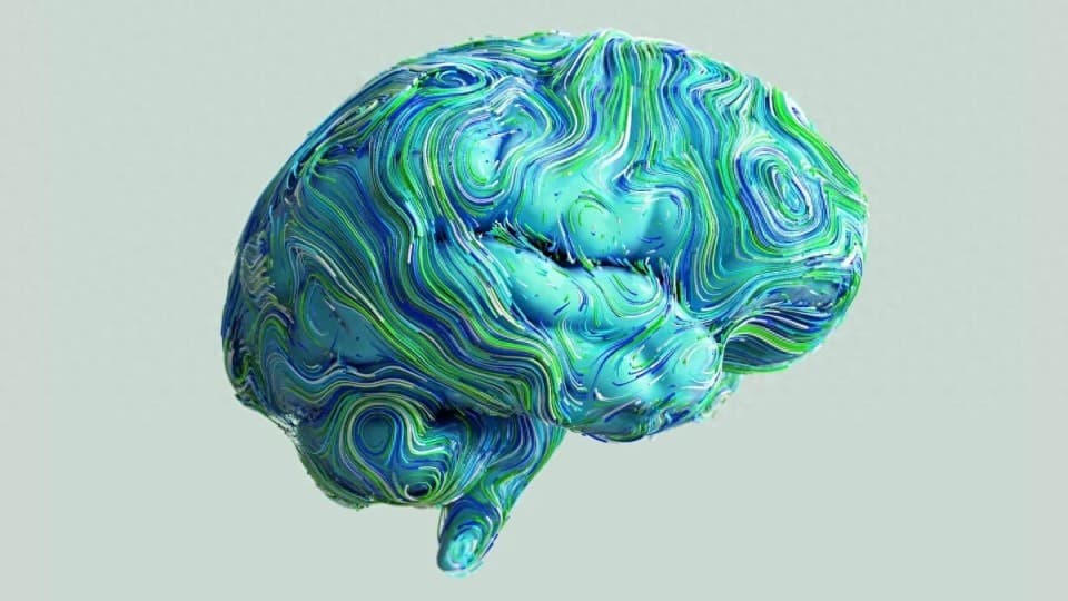 盘点：2024年关于大脑的最有趣的科学研究