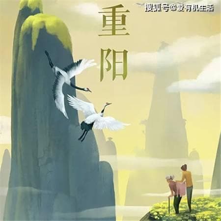 重阳节为什么要插茱萸？重阳节插茱萸的来历