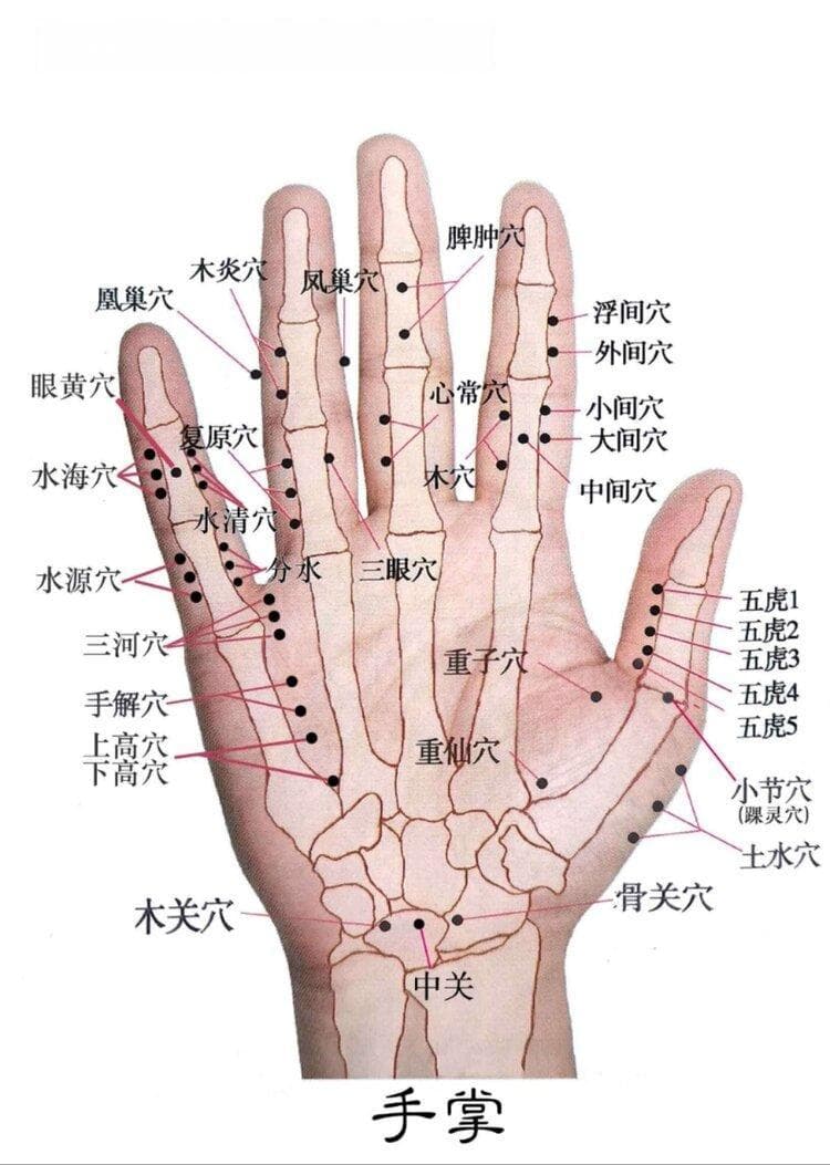 手部反射区调理五脏