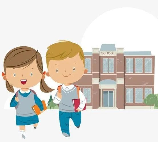 小学值日生怎么做：从早操到放学后的完整指南!