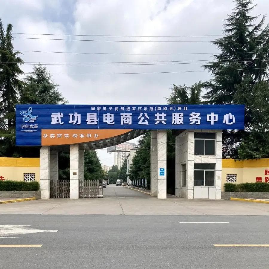 电商运营的核心秘籍：解锁转化率的奥秘