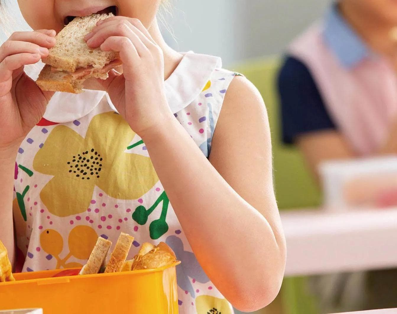 幼儿园营养膳食科学管理研究