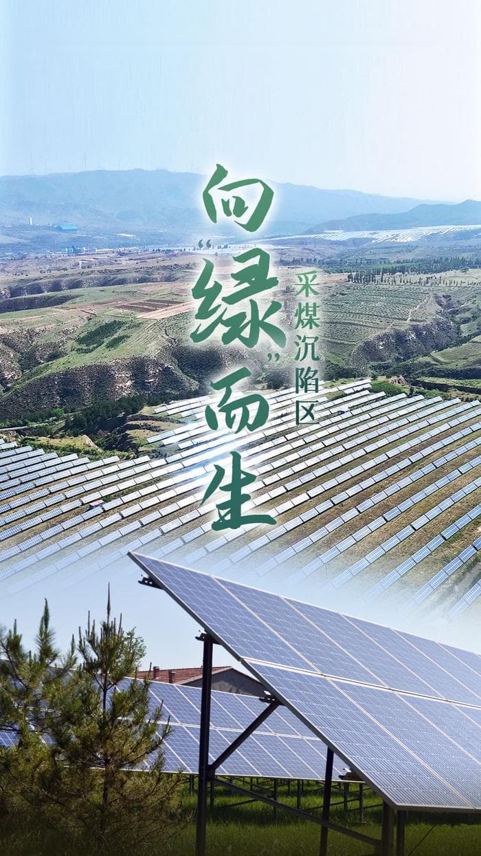 山西大同：采煤沉陷区向“绿”而生
