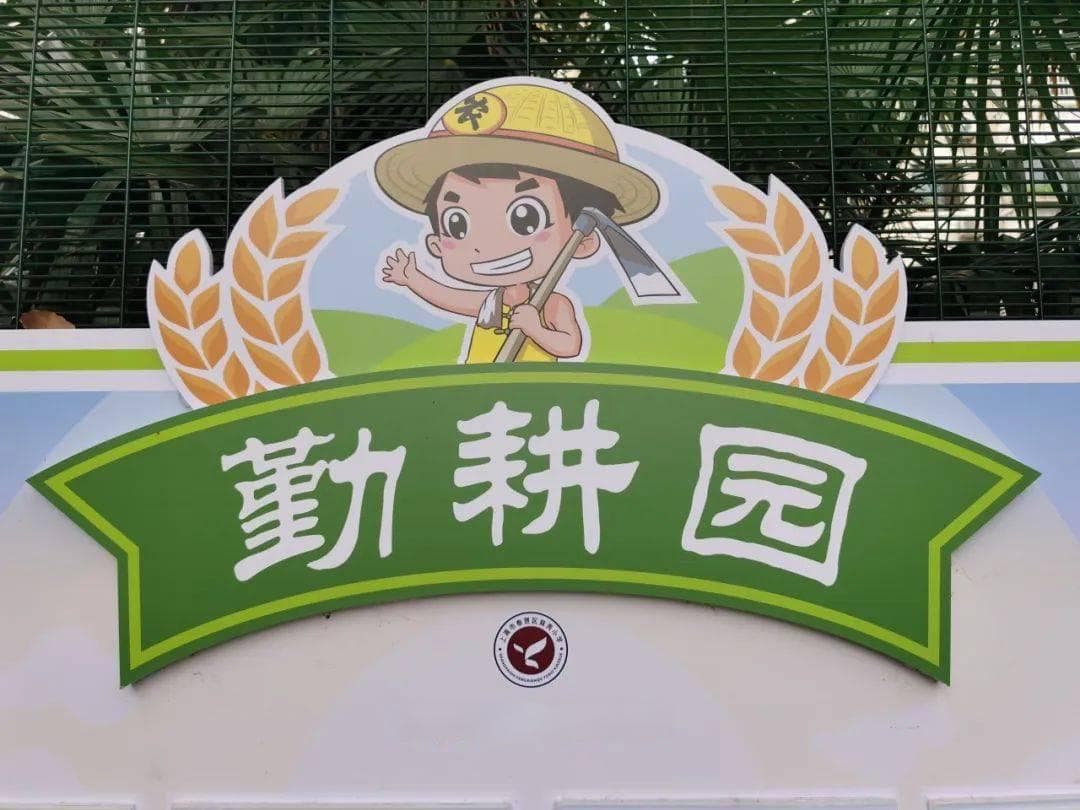 育秀小学“勤耕园”劳动教育实践活动：采摘蔬菜乐趣多，育秀学子有收获