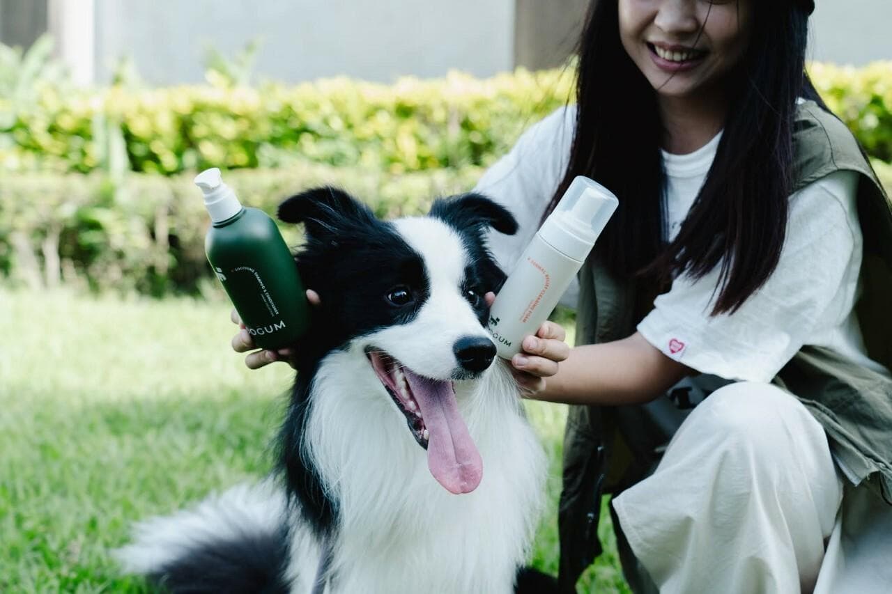 提高宠物幸福感的秘诀：定期清洁狗狗，享受健康快乐的生活