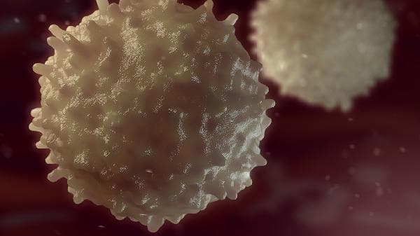 体检报告中粘液丝、白细胞和红细胞偏高怎么办？
