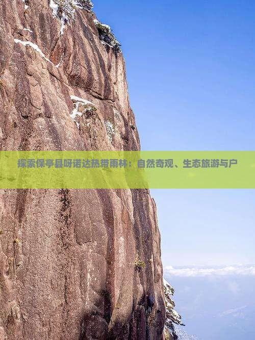 呀诺达热带雨林：海南保亭的自然奇观与文化瑰宝