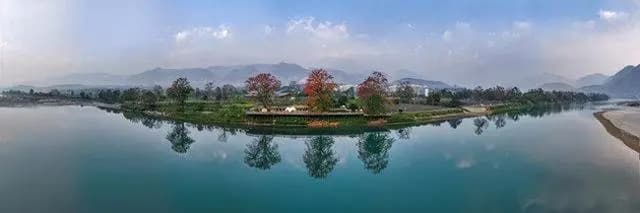云南潞江坝木棉花开，绽放春日浪漫风情