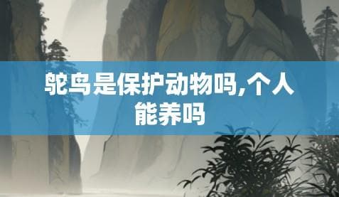 列入保护名录的鸵鸟，个人养殖需满足这些条件
