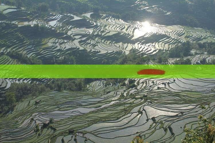 长江航线查询：芜湖至重庆客运轮船全程指南，包含时刻表、票价及预订信息