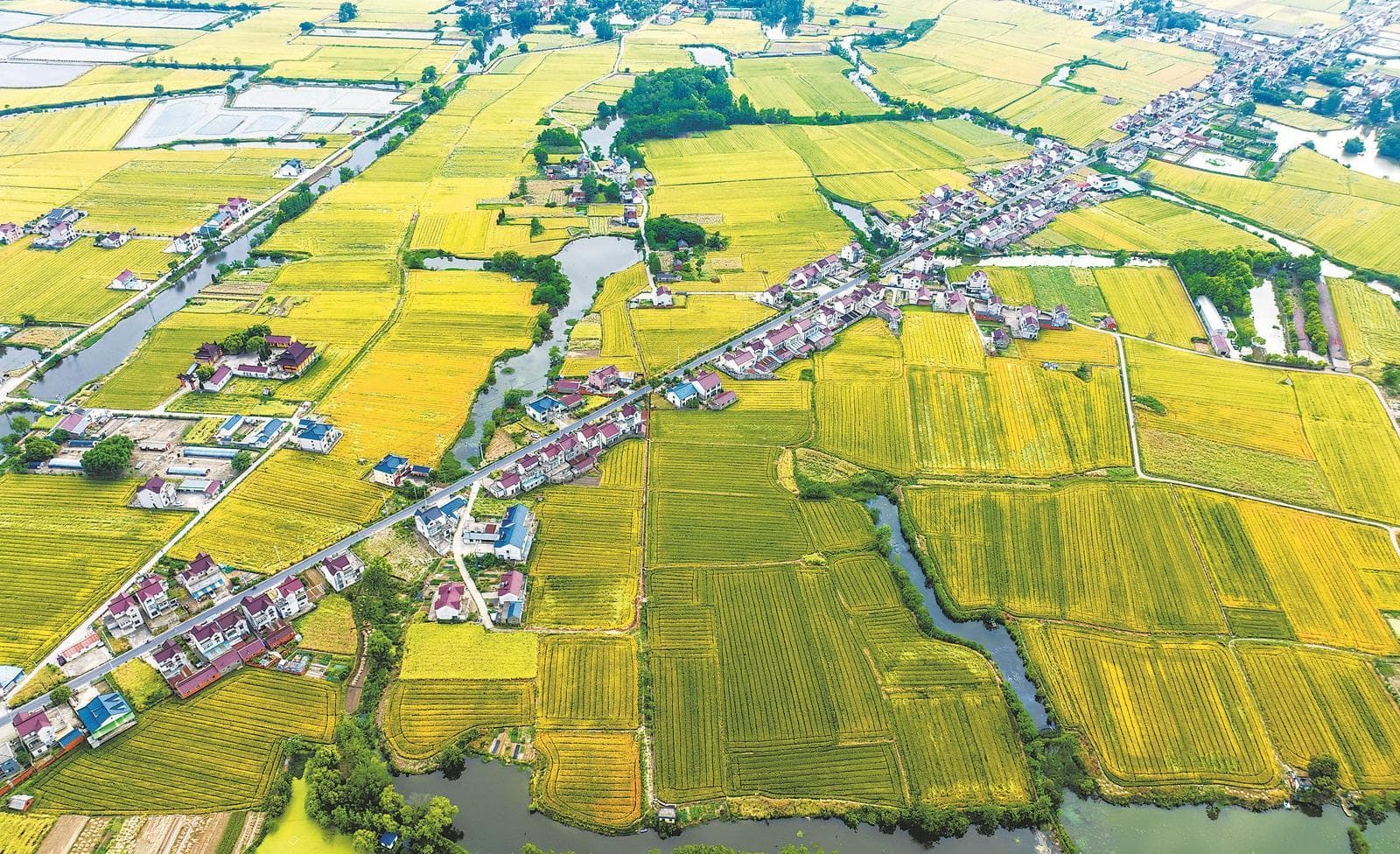 安徽省科技赋能提成效，精准御险护安澜