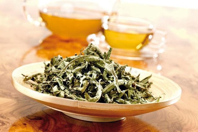 品味湖南，从十大名茶到生活美学的独特探索