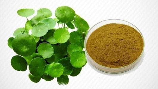 积雪草提取物的作用与提取方法