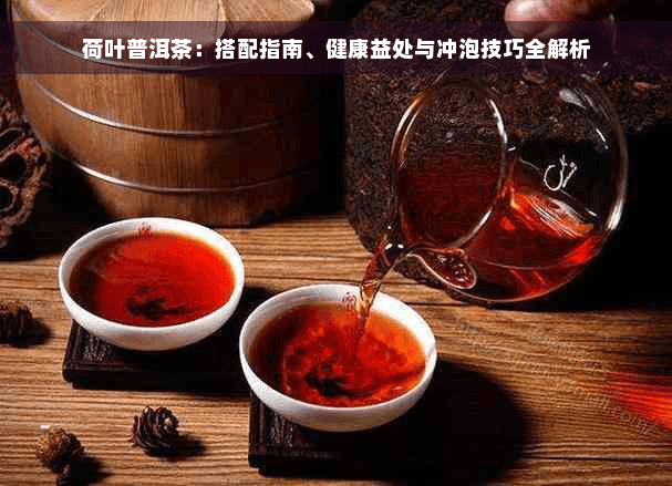 荷叶普洱茶：搭配指南、健康益处与冲泡技巧全解析