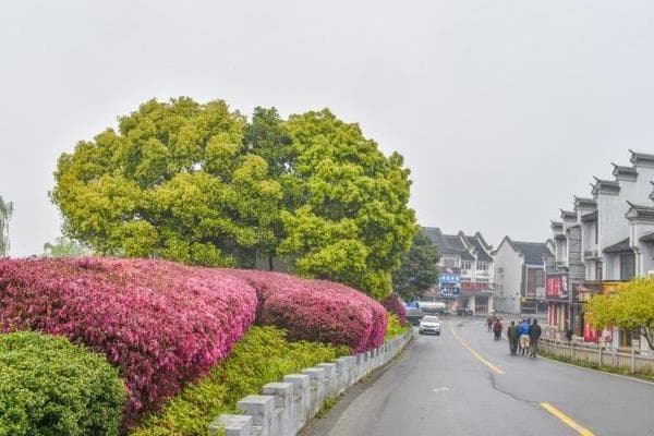 邵伯古镇：扬州千年古镇的宁静之美
