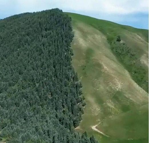 【差异地理】自然带高度到底跟什么有关？25座国内外山脉的垂直自然带谱，全了！