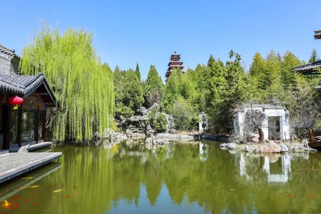 五一去哪玩？微山湖旅行攻略请查收！