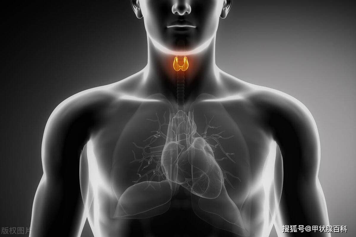 南昌五院甲状腺专业：甲状腺结节能不能保守治疗?