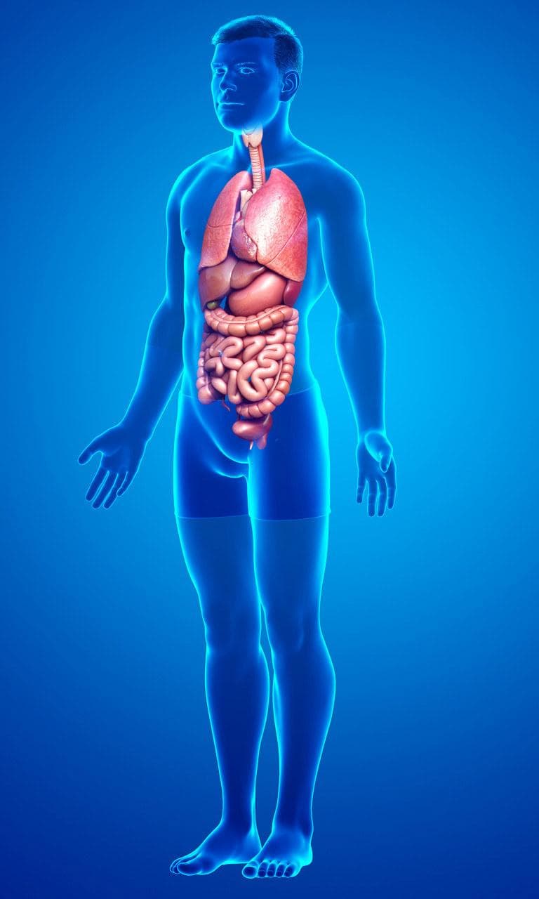 腹腔恶性肿瘤有哪些症状