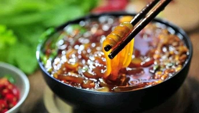 探寻正宗酸辣粉：重庆的麻辣诱惑