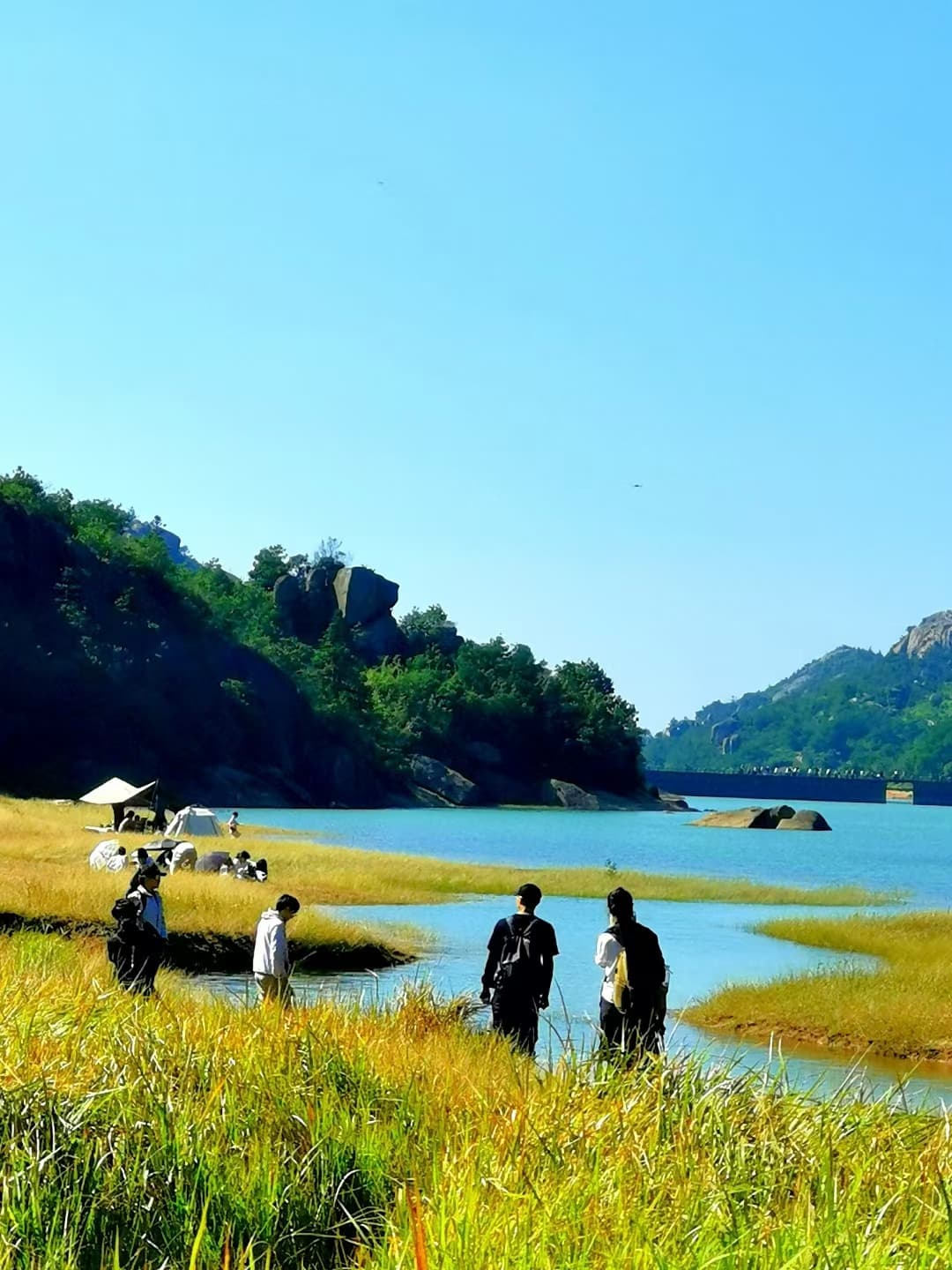 温州大罗山现“小阿勒泰”：黄绿草地与清澈湖水吸引游客纷至沓来