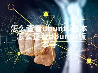 怎么查看Ubuntu版本号