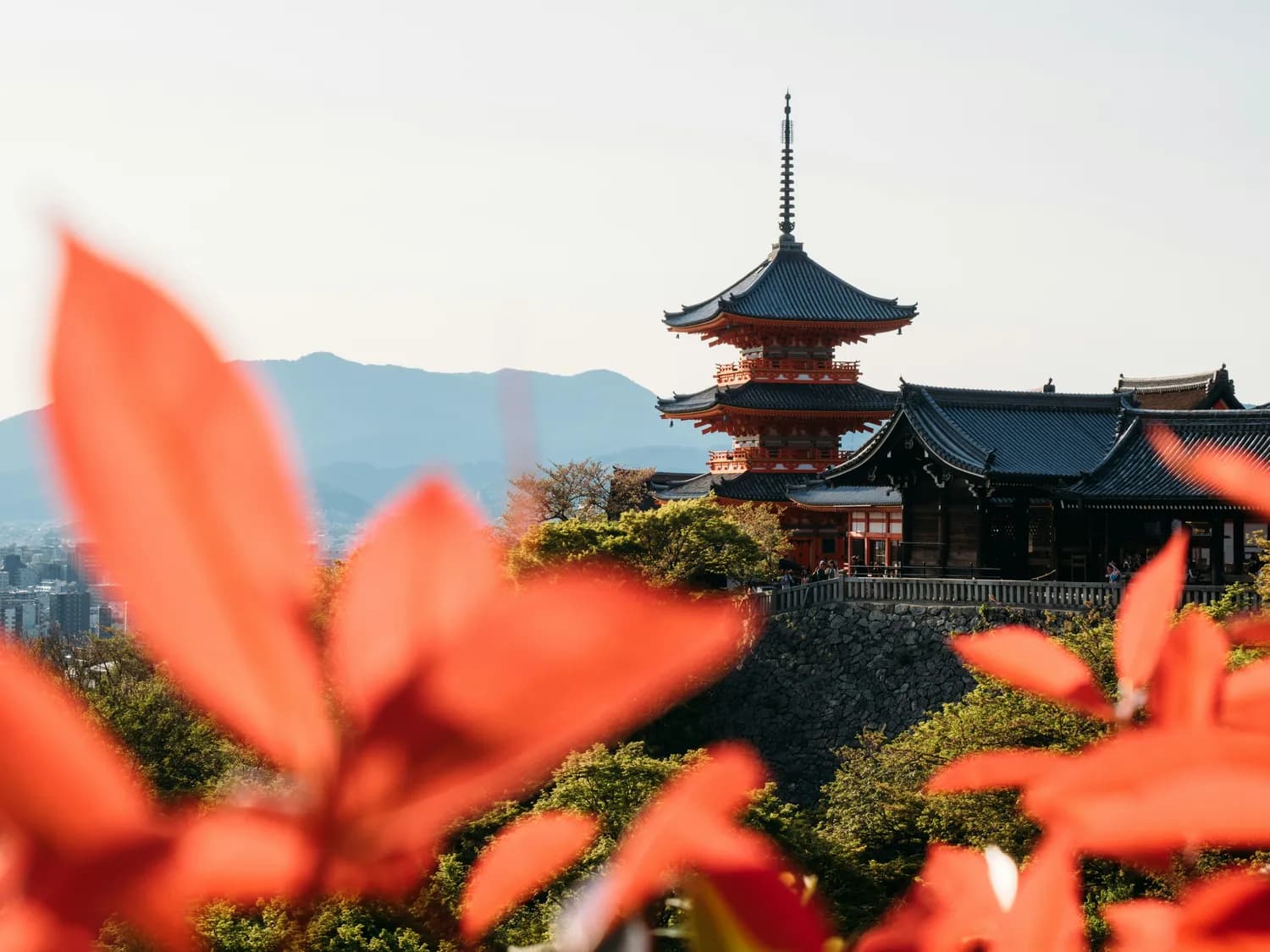 玩转清水寺浅草寺摄影：从光线运用到后期处理