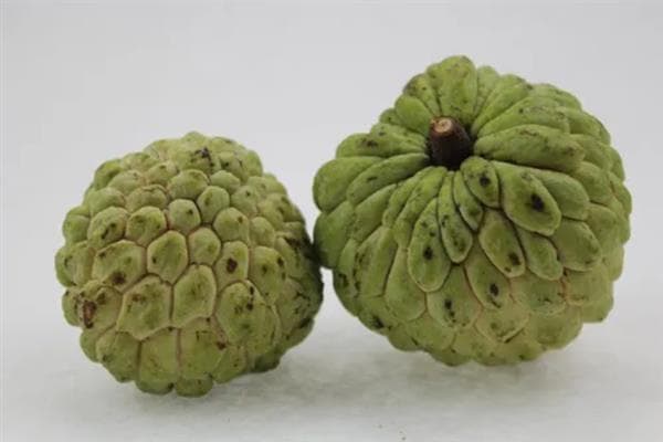 释迦果是哪个季节的？夏秋季节最佳，附判断成熟和催熟技巧