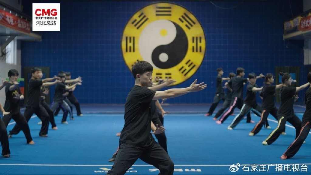 八卦掌：形如游龙，转似鹰盘