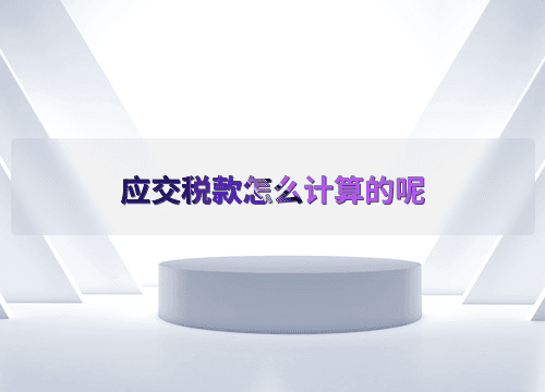 企业应交税款计算指南：从增值税到所得税的全面解析