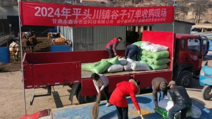 “订单式”农业解锁群众“增收密码”